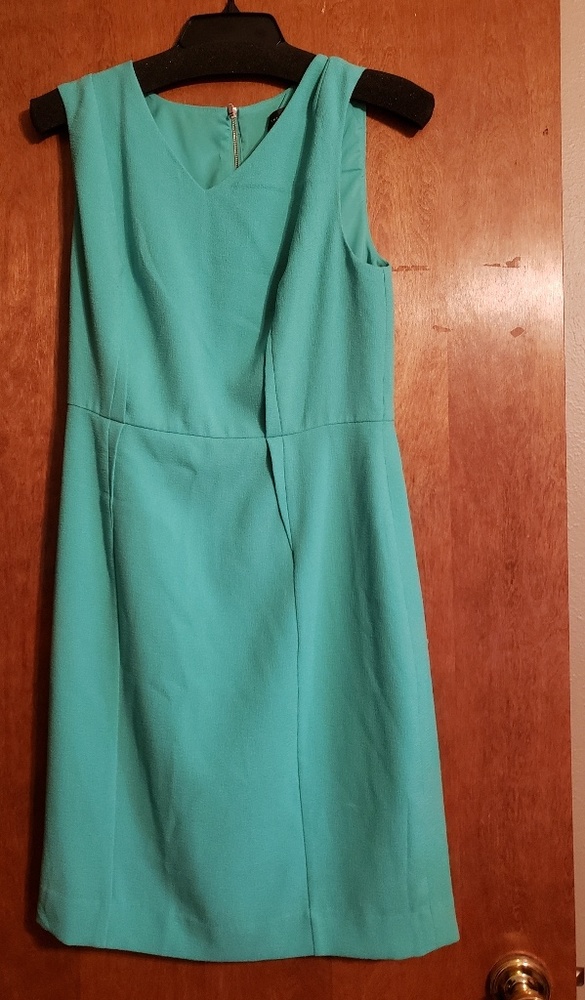 The Limited dress